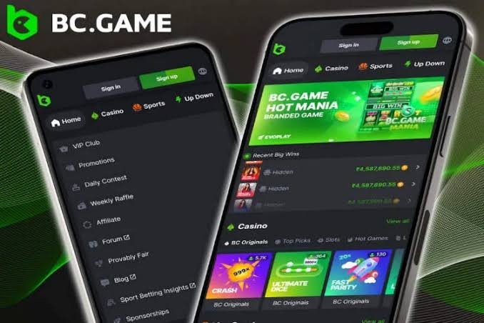 Explore the Thrilling World of BC.Game Casino Explore the Thrilling World of BC.Game Casino